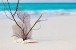 beach_and_sea_concep1.jpg